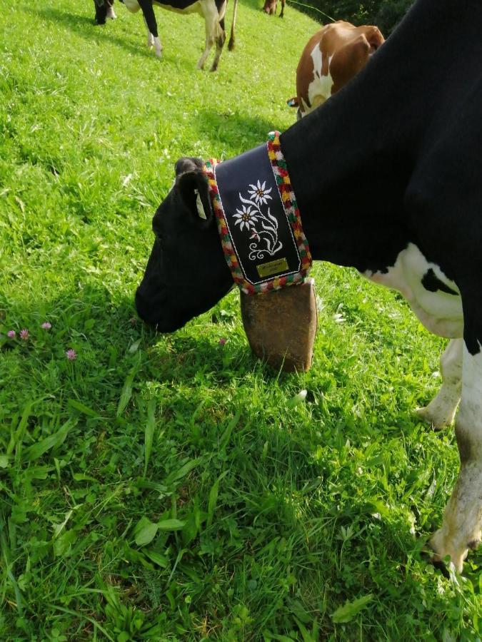 Farm stay Hintergugg Mittersill