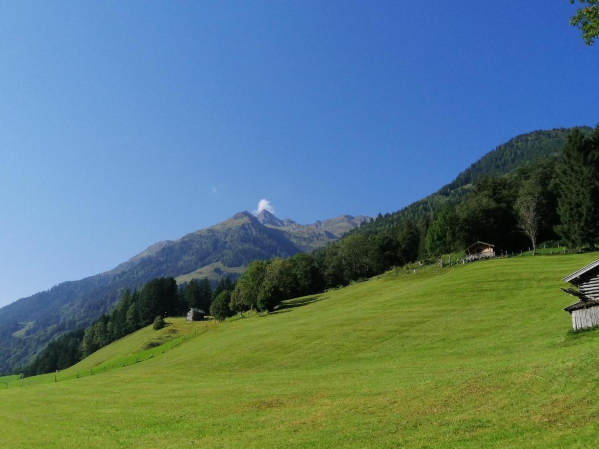 Farm stay Hintergugg Mittersill