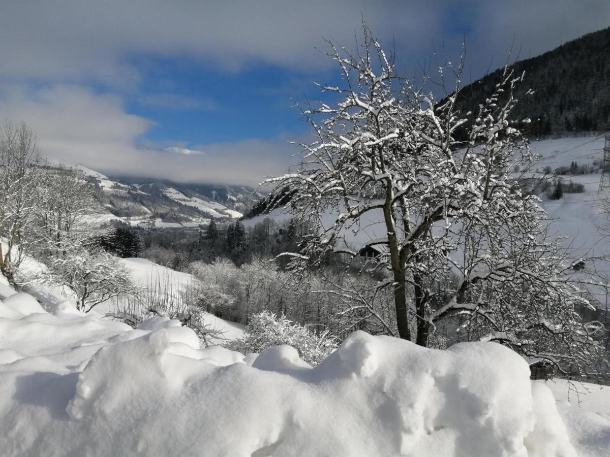 Hintergugg * Mittersill