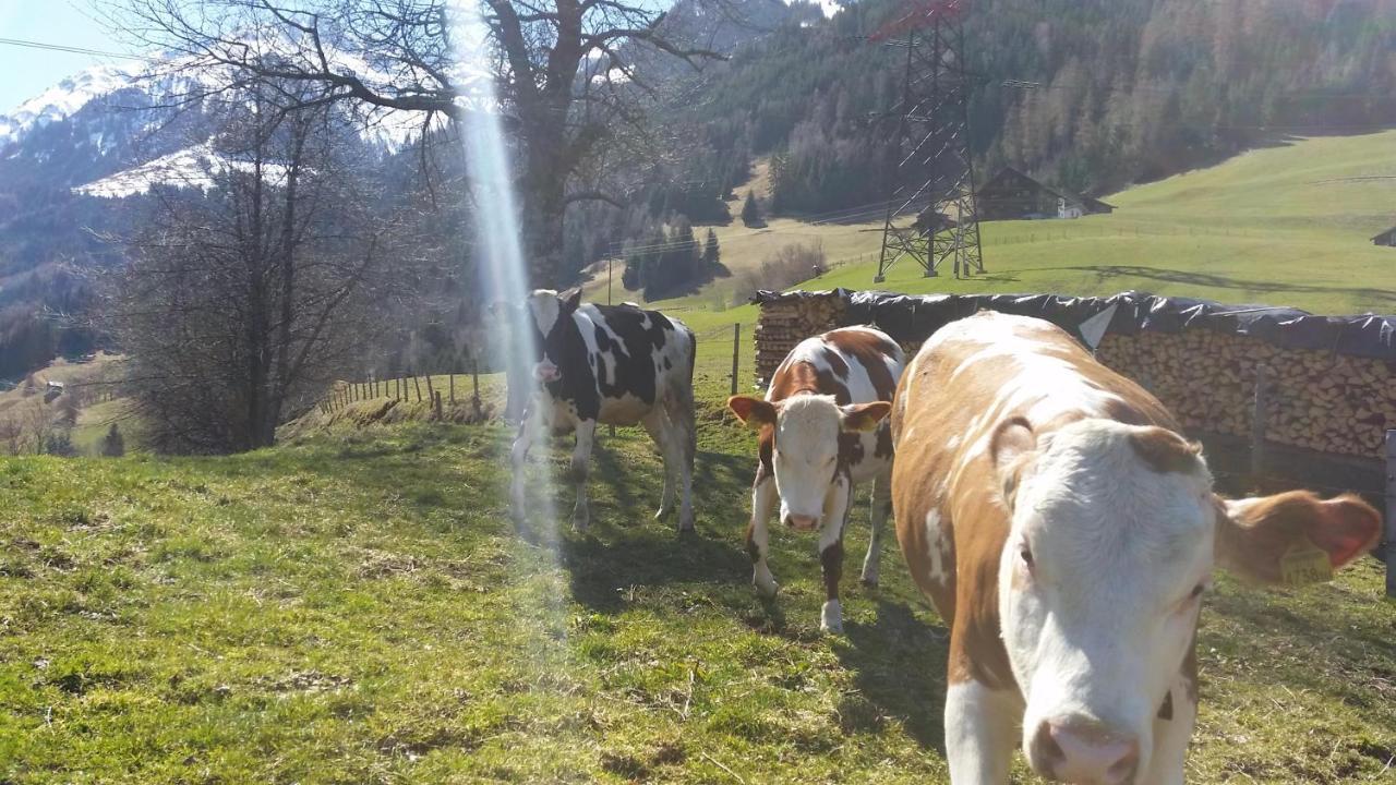 Farm stay Hintergugg *