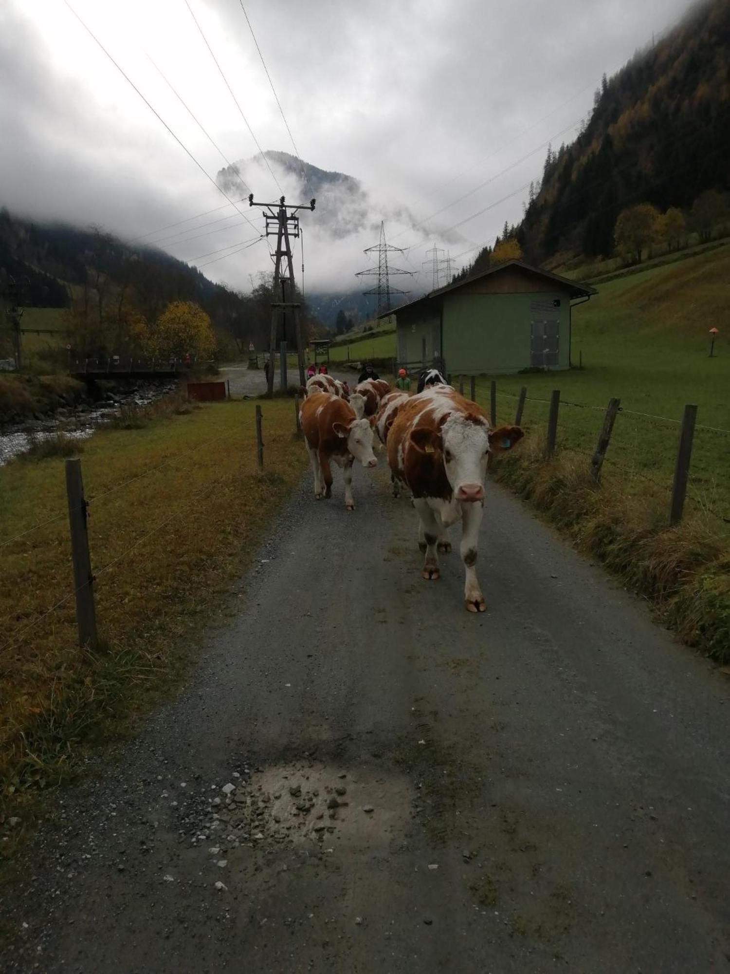 Hintergugg