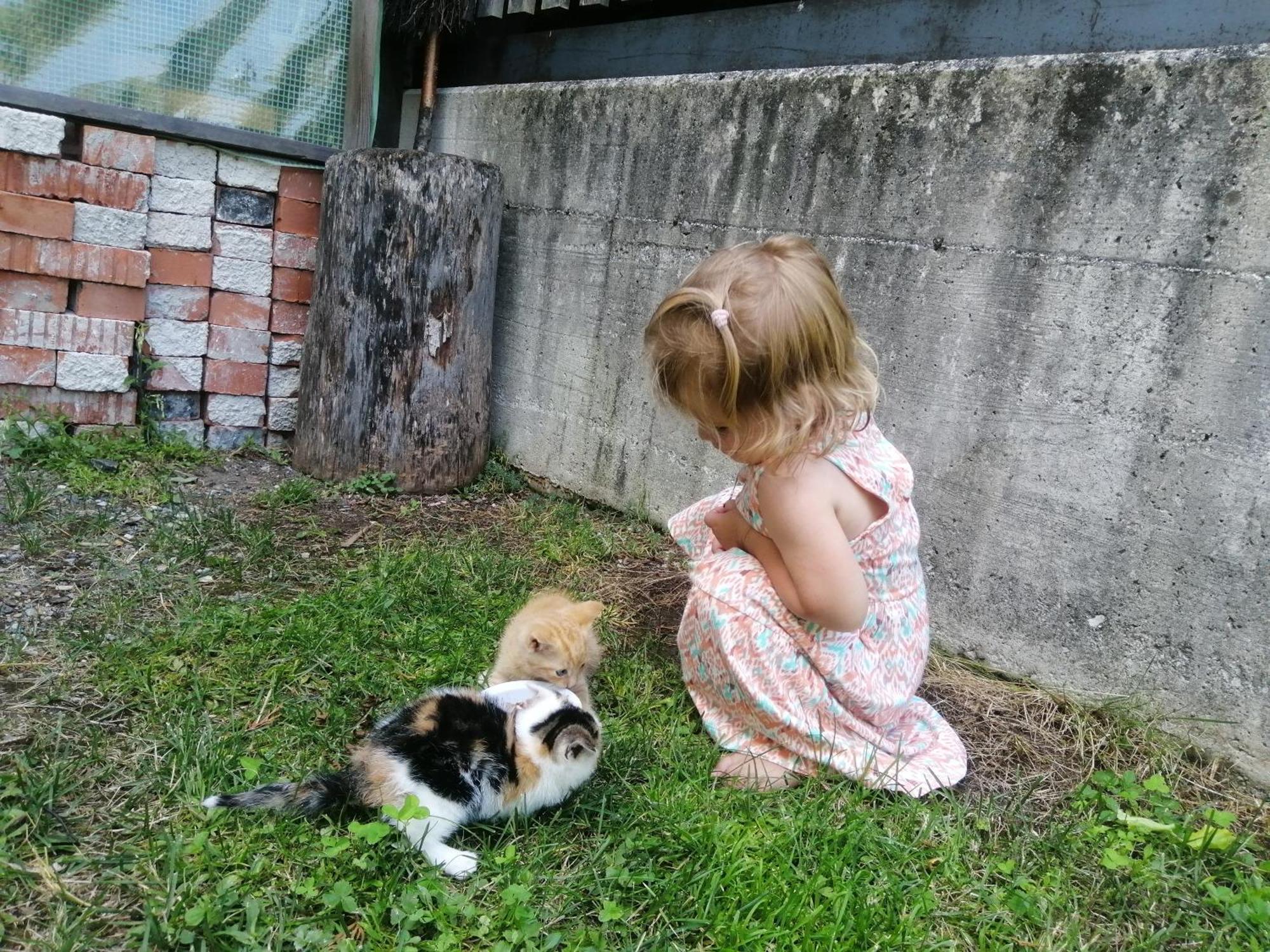 Farm stay Hintergugg *